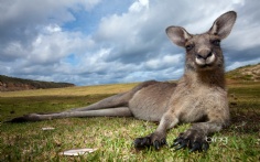 MurramarangNP1920x12008-1-2012 12_38_31 PM Bing Desktop